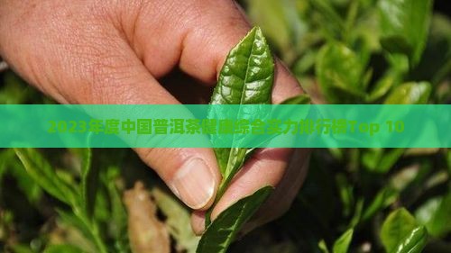2023年度中国普洱茶健康综合实力排行榜Top 10