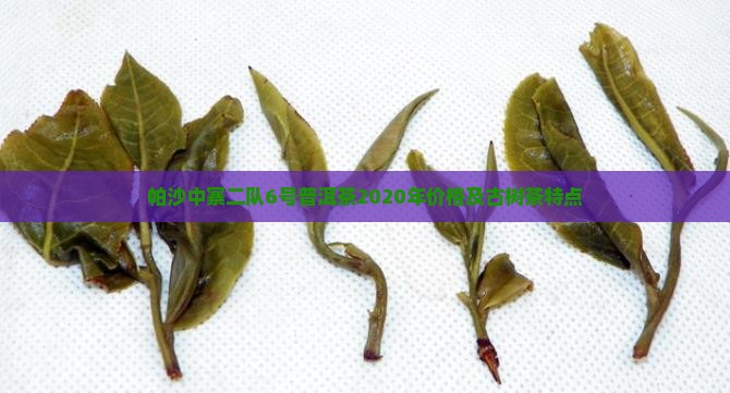 帕沙中寨二队6号普洱茶2020年价格及古树茶特点