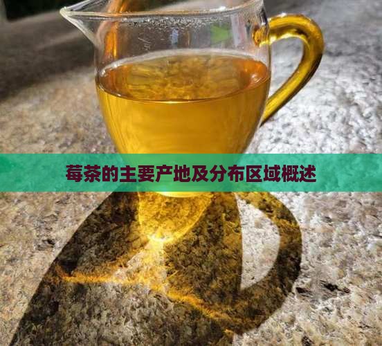 莓茶的主要产地及分布区域概述