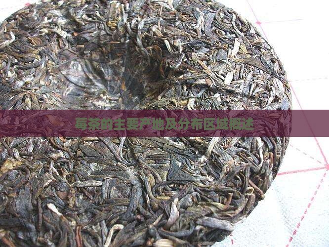 莓茶的主要产地及分布区域概述