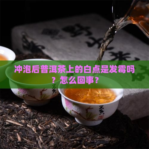 冲泡后普洱茶上的白点是发霉吗？怎么回事？