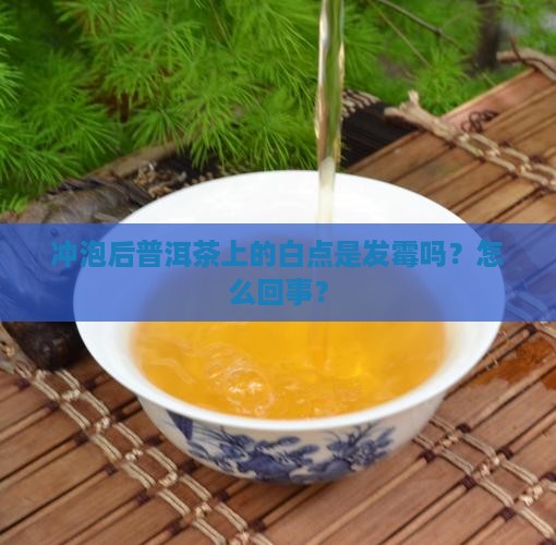 冲泡后普洱茶上的白点是发霉吗？怎么回事？