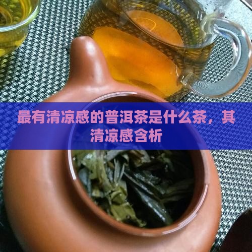 最有清凉感的普洱茶是什么茶，其清凉感含析