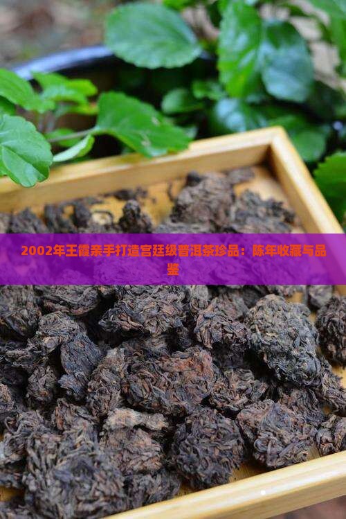 2002年王霞亲手打造宫廷级普洱茶珍品：陈年收藏与品鉴