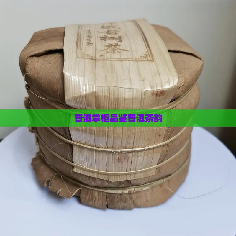普洱掌柜品鉴普洱茶韵