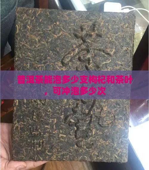 普洱茶能泡多少支枸杞和茶叶，可冲泡多少次