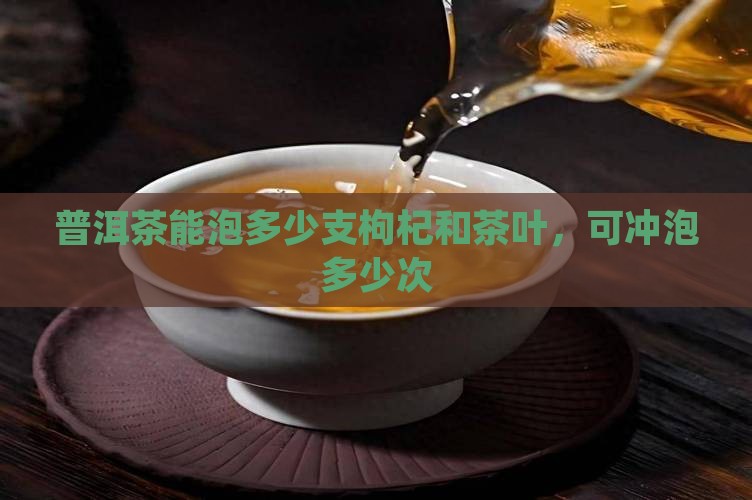 普洱茶能泡多少支枸杞和茶叶，可冲泡多少次