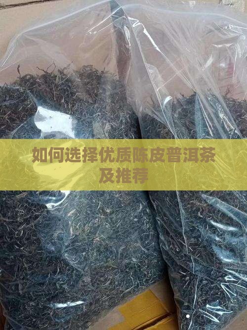 如何选择优质陈皮普洱茶及推荐