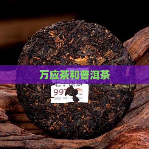 万应茶和普洱茶