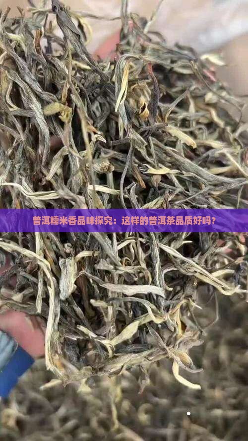 普洱糯米香品味探究：这样的普洱茶品质好吗？