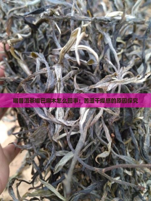 喝普洱茶嘴巴麻木怎么回事