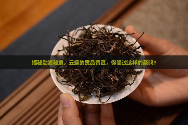 云贡勐海普洱茶