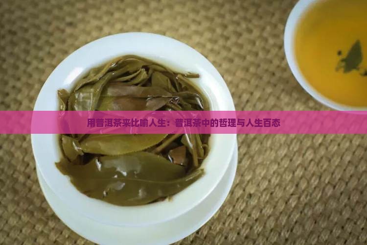 用普洱茶来比喻人生