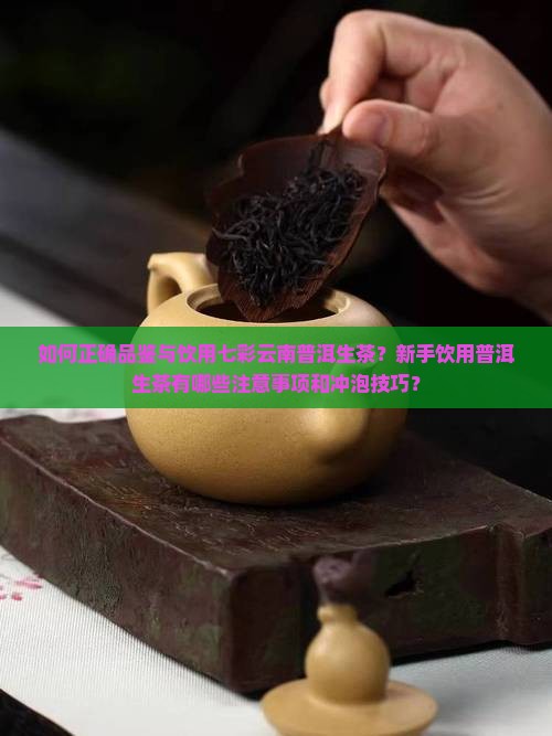 七彩云南普洱茶生茶怎么喝