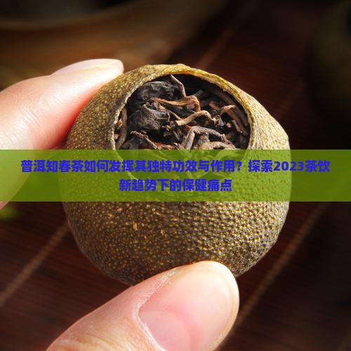 普洱知春茶功效与作用