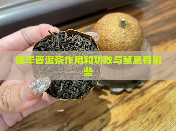 陈年普洱茶作用和功效与禁忌