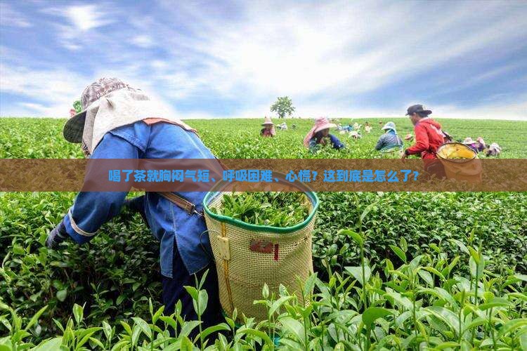喝茶后胸闷气短呼吸困难心慌
