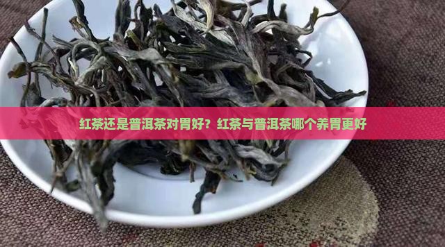 红茶还是普洱茶对胃好