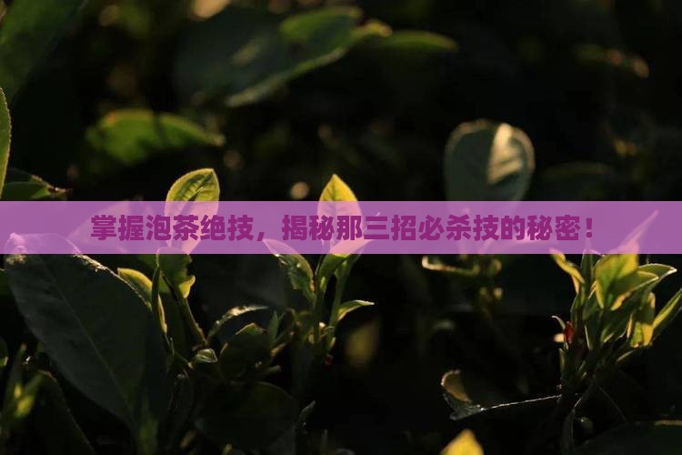泡茶技艺的三要素简