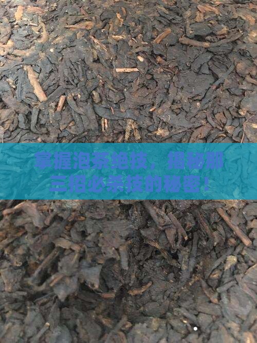 泡茶技艺的三要素简