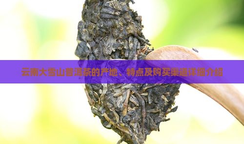 云南大雪山普洱茶在哪