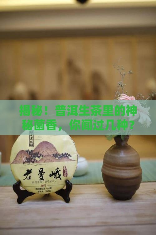 哪些普洱生茶有菌香