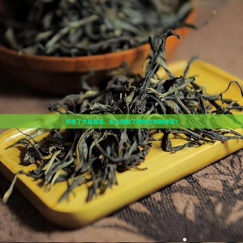 大益普洱茶为什么没古树茶