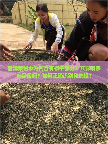 普洱茶饼有枝干