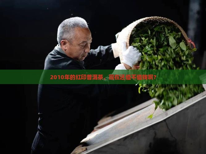 2010年红印普洱茶价格