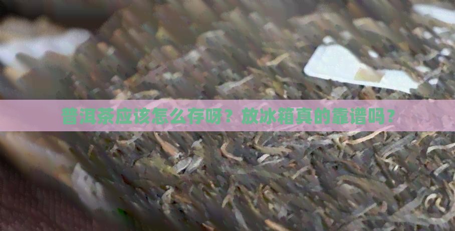 普洱茶怎么保存需要冷藏吗