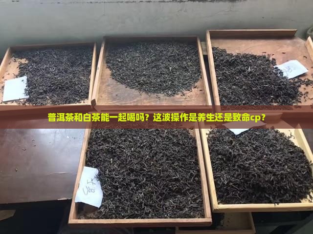 普洱茶对白茶有什么危害