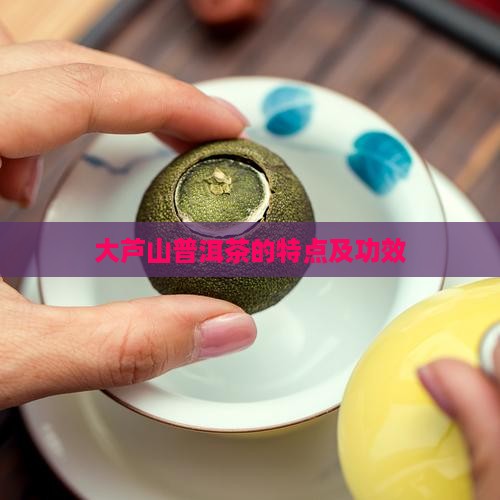 大芦山普洱茶的特点
