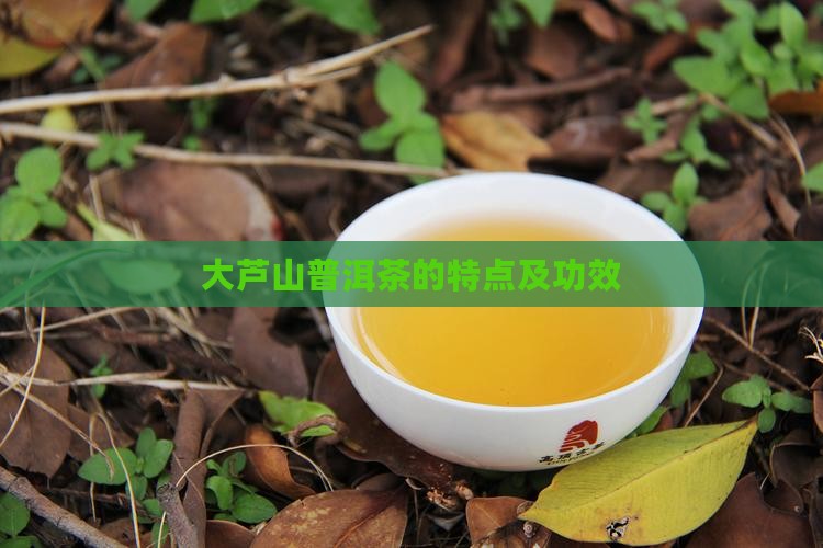 大芦山普洱茶的特点