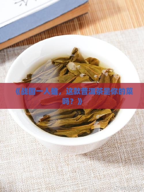 战国一人雄普洱茶