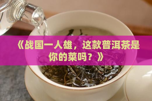 战国一人雄普洱茶