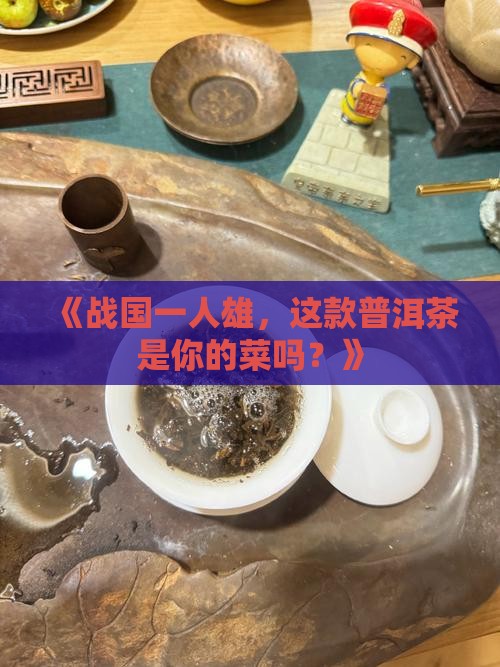 战国一人雄普洱茶