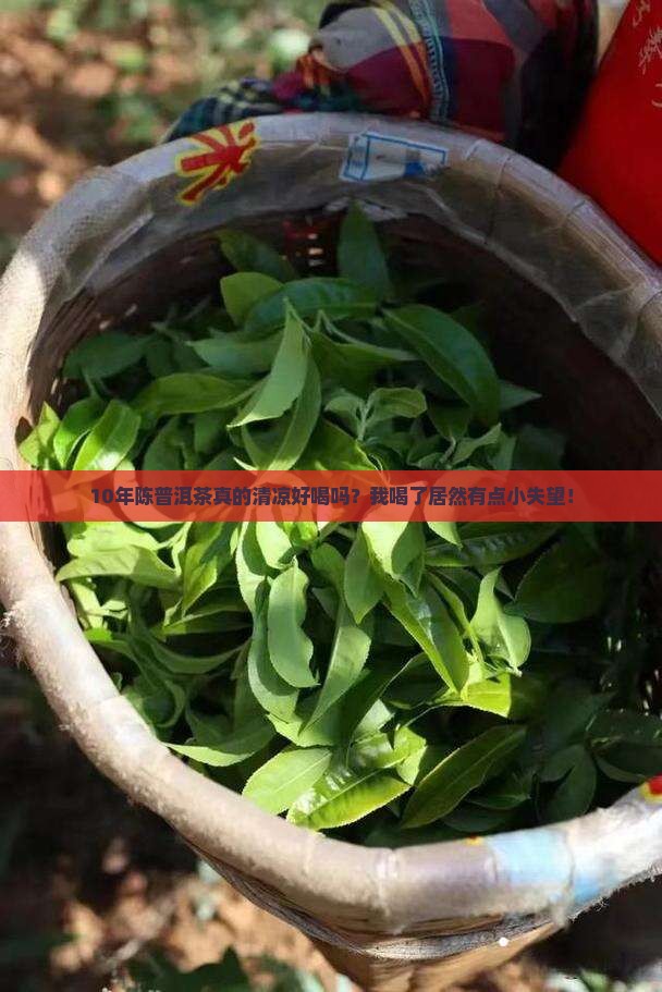 熟普洱茶口感清凉