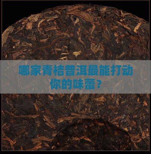 青桔普洱茶哪个牌子好