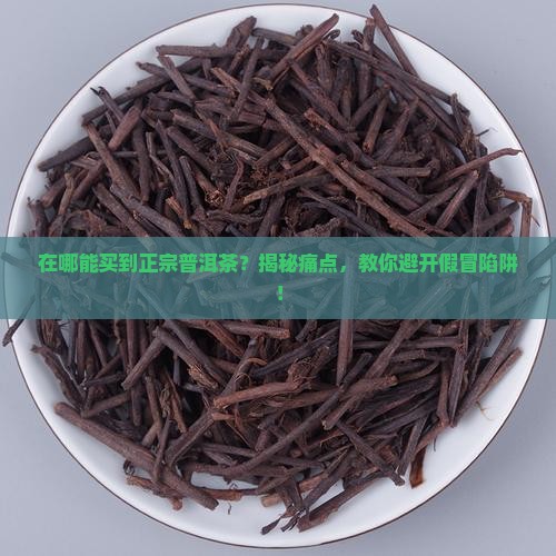 真普洱茶到哪买
