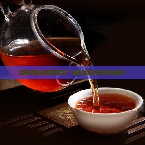 拍卖普洱茶平台有哪些