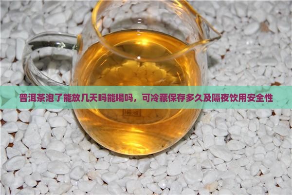 普洱茶泡了能放几天吗能喝吗
