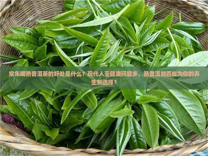 常年喝熟普洱茶的好处是什么