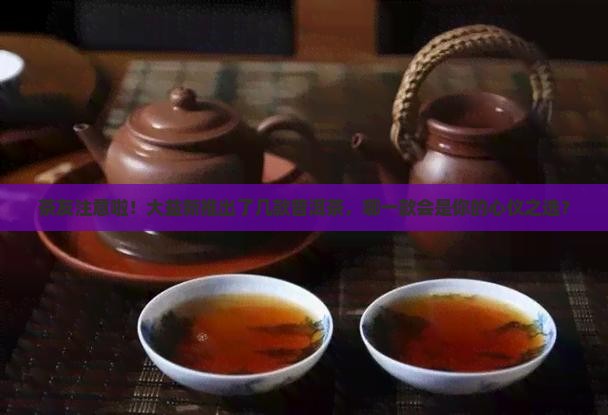 大益普洱茶新出哪款了