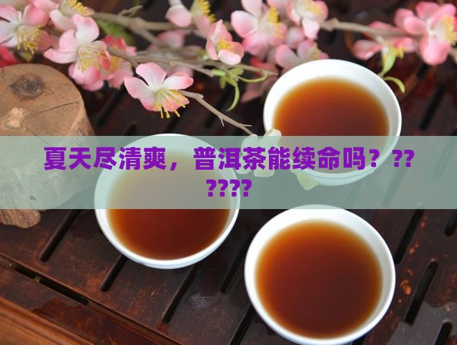 夏天喝普洱茶好吗