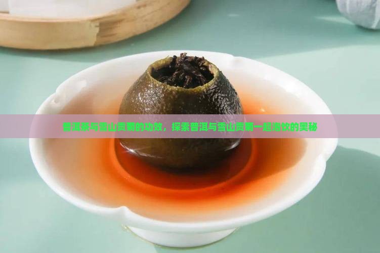 雪山贡菊与普洱茶