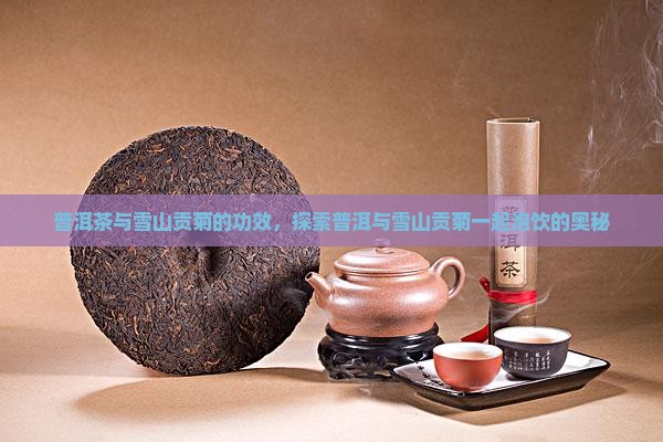 雪山贡菊与普洱茶