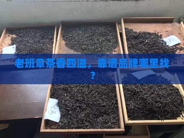 国内靠谱老班章品牌加盟