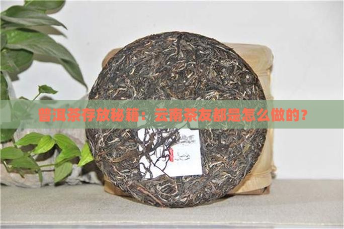 云南怎么存普洱茶