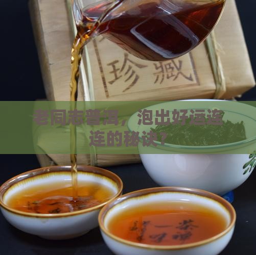 老同志普洱茶好运来