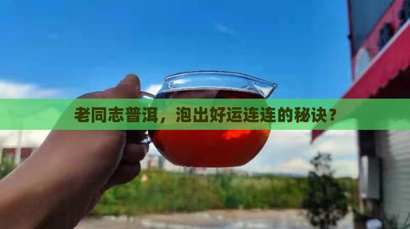 老同志普洱茶好运来